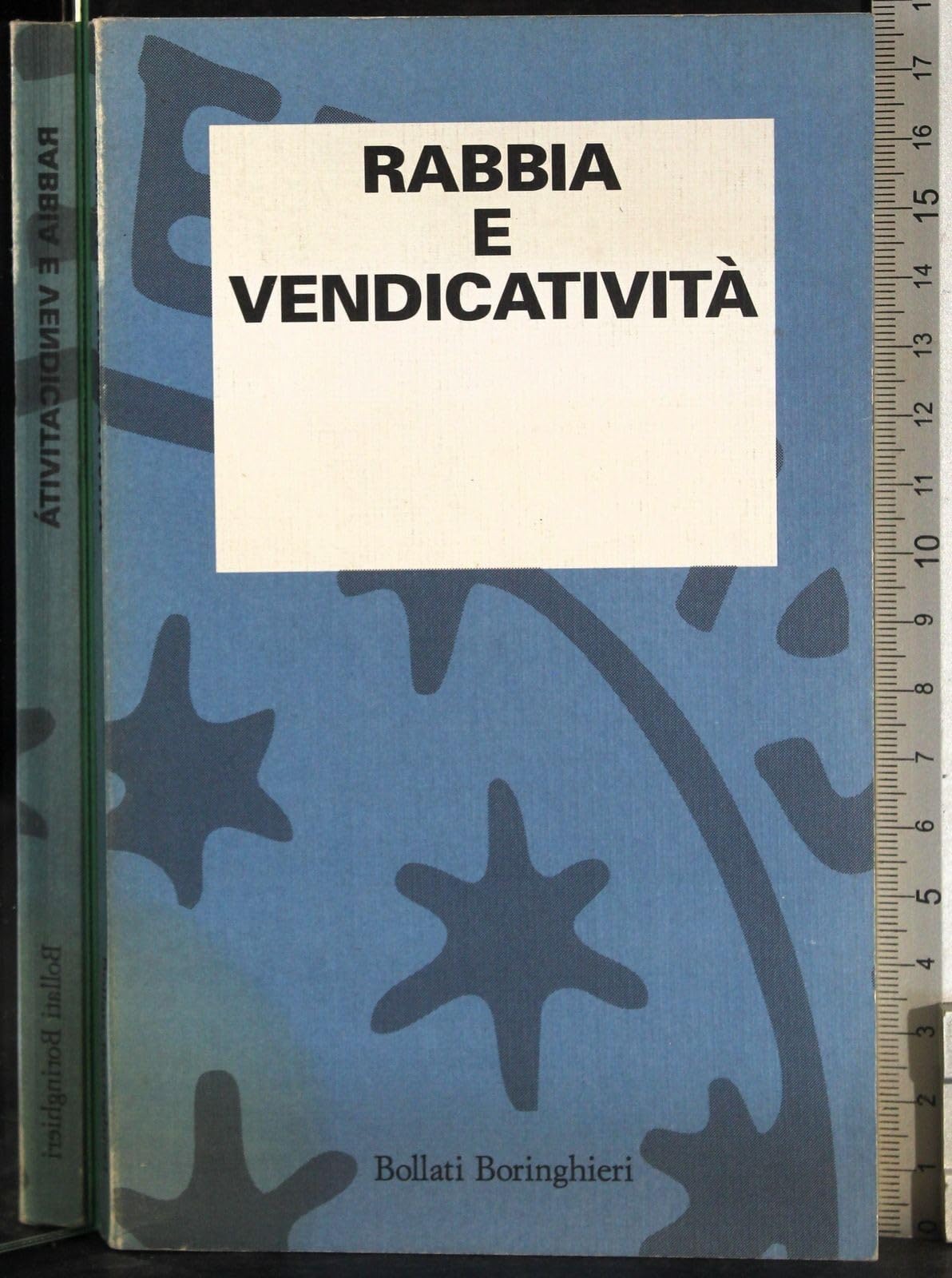 Rabbia e vendicatività (L' osservazione psicoanalitica) Books