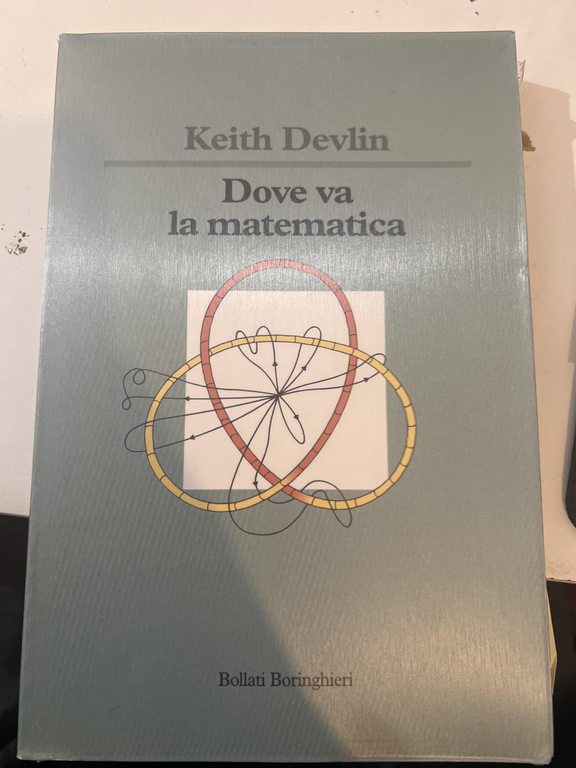 Dove va la matematica (Saggi. Scienze) Mathematics