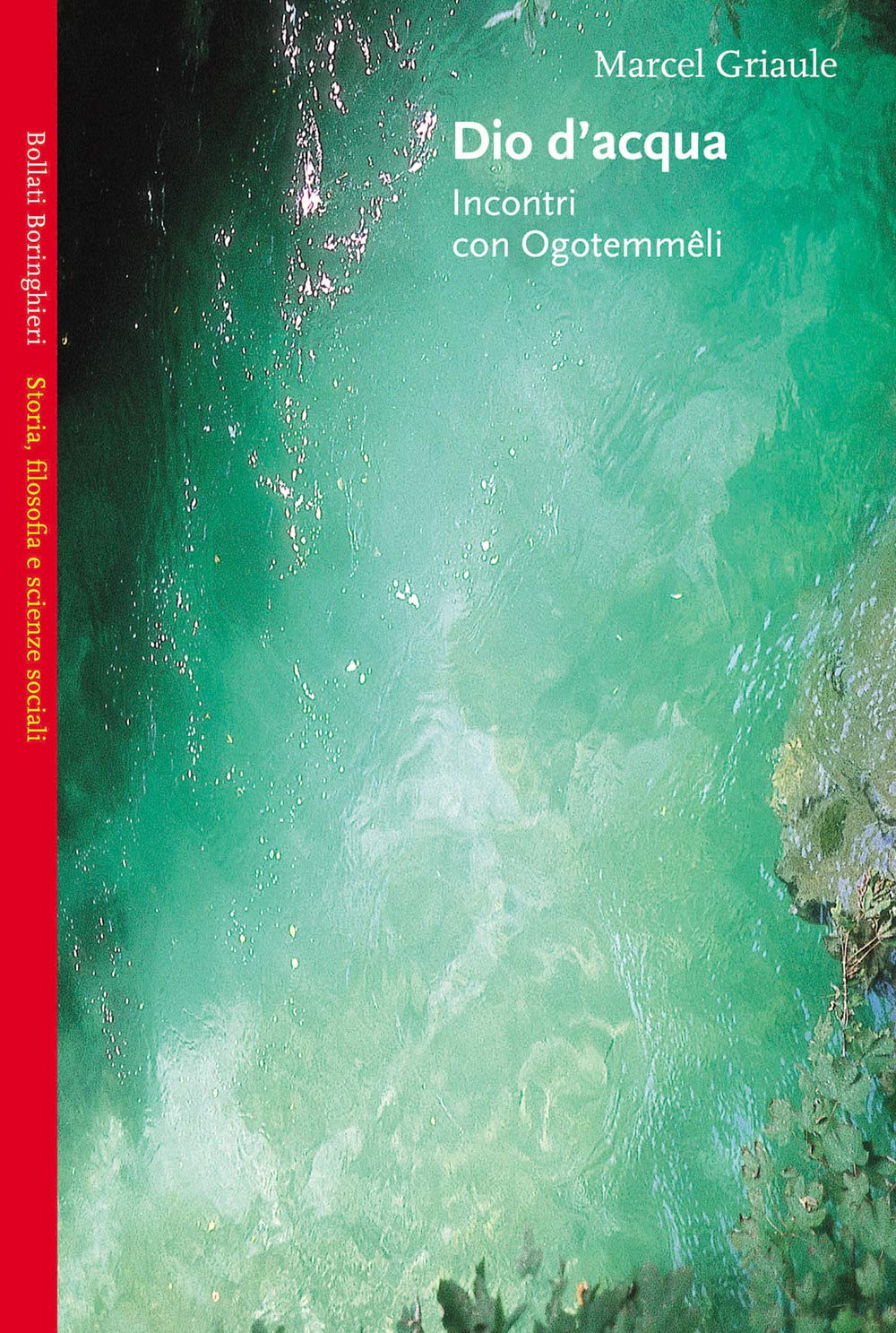 Dio d'acqua. Incontri con Ogotemmêli book