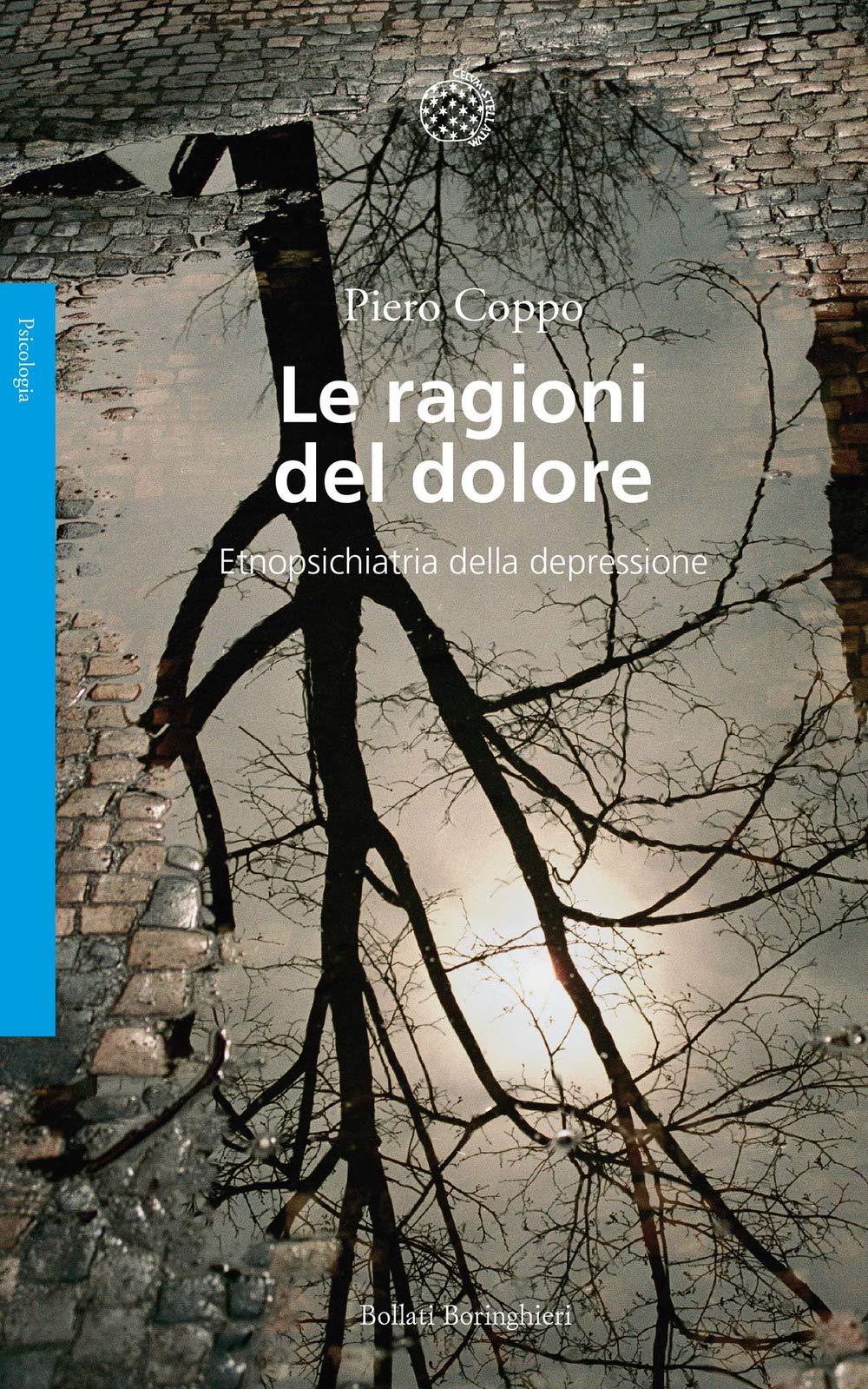 Le ragioni del dolore. Etnopsichiatria della depressione book