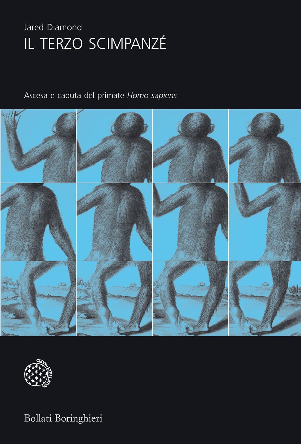 Il terzo scimpanzé. Ascesa e caduta del primate homo sapiens (Universale Bollati Boringhieri-S. scient.) Mathematics