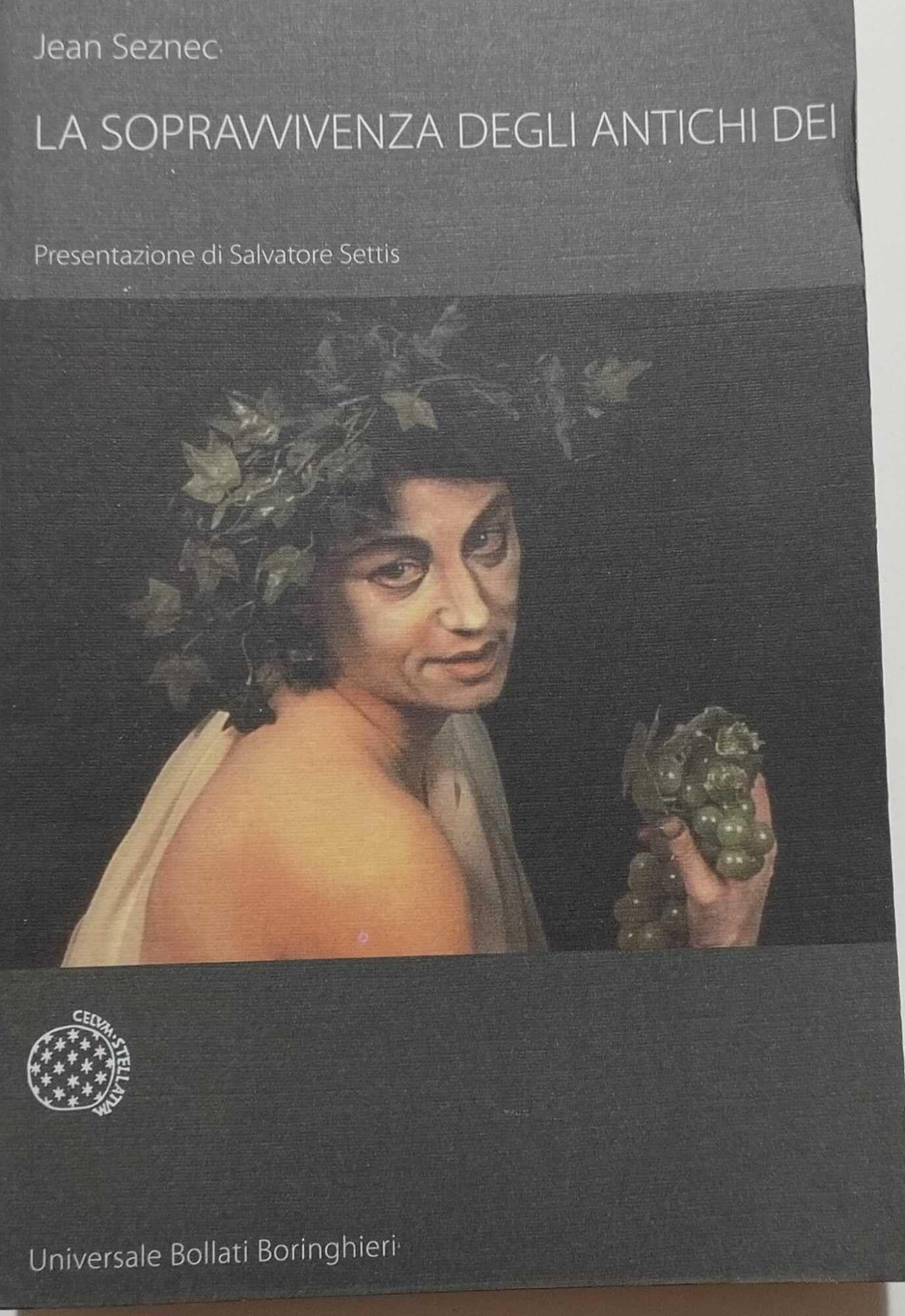 La sopravvivenza degli antichi dei. Saggio sul ruolo della tradizione mitologica nella cultura e nell'arte rinascimentali (Universale Bollati Boringhieri-S. scient.) Film, Art & Culture