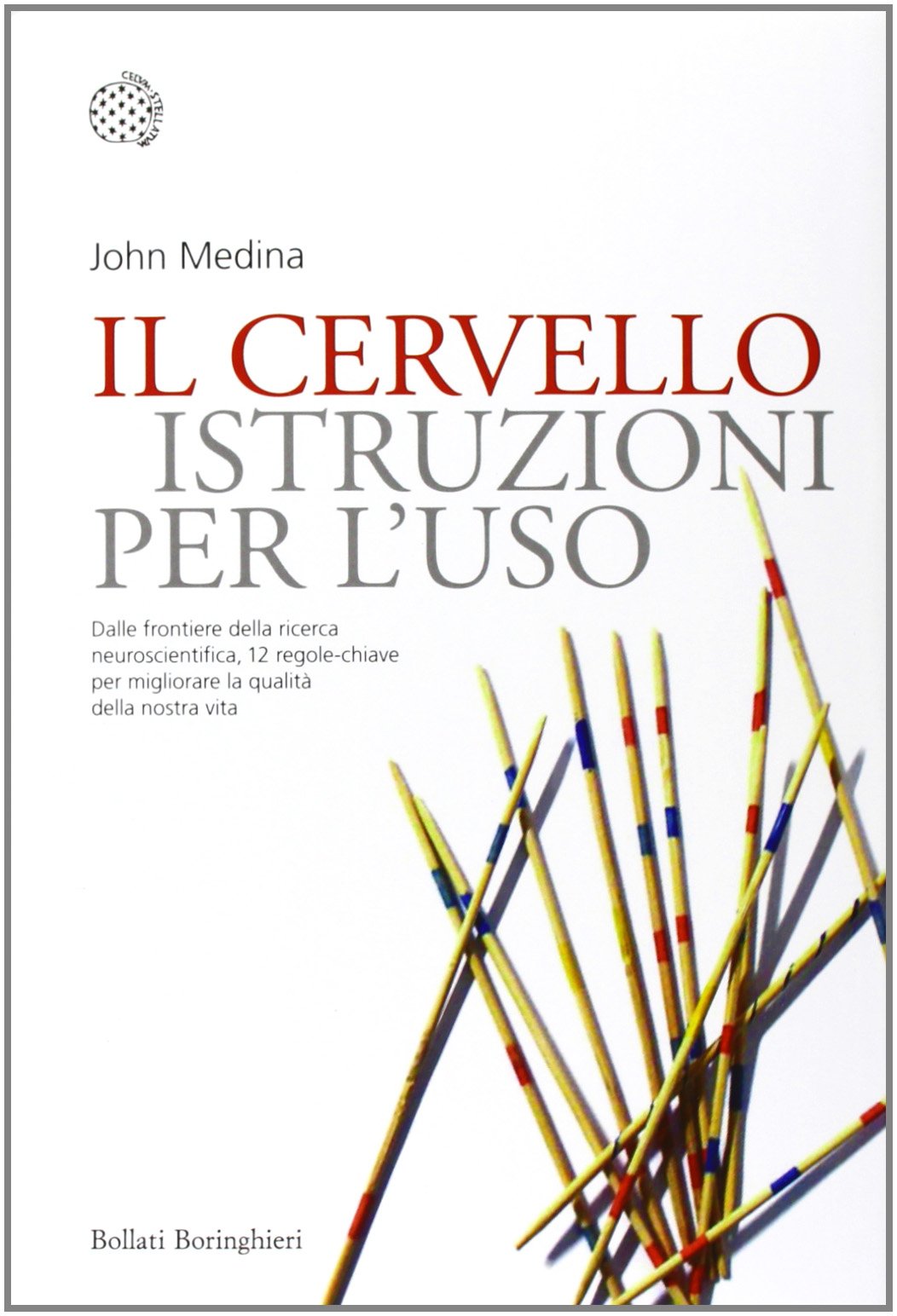 Il cervello. Istruzioni per l'uso (Nuovi saggi Bollati Boringhieri) Natural Sciences