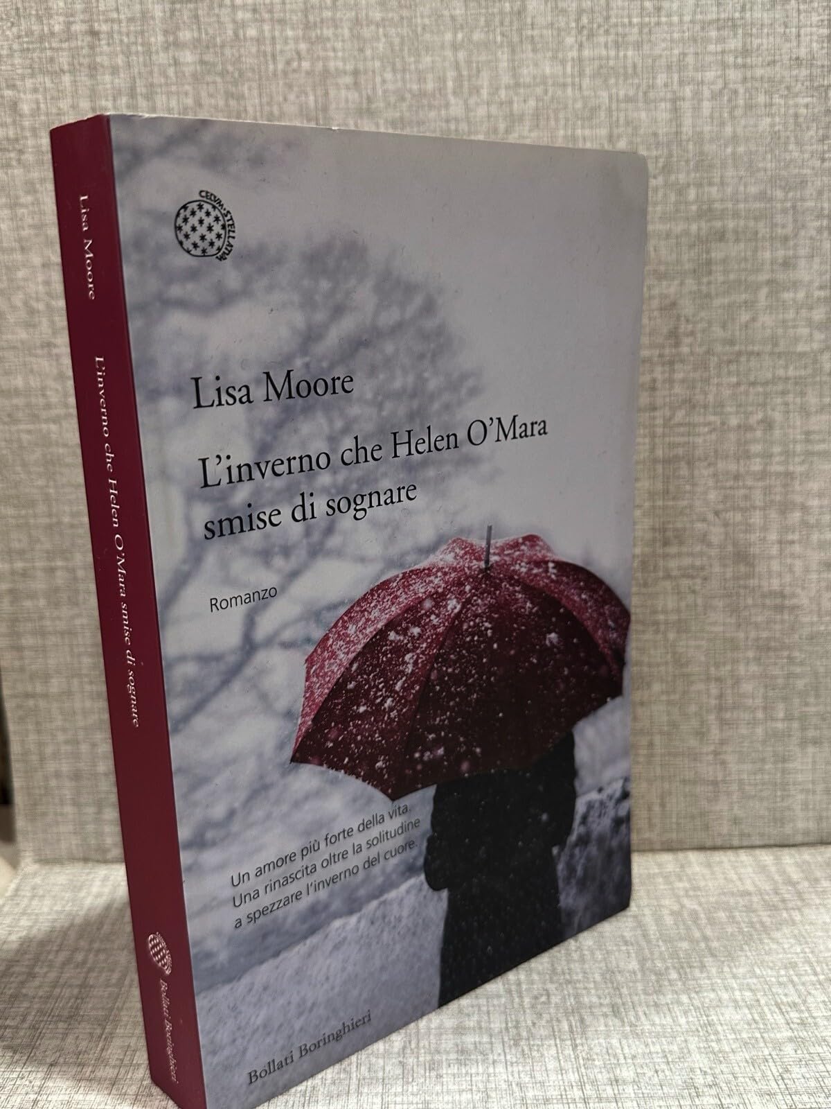 L'inverno che Helen O'Mara smise di sognare book