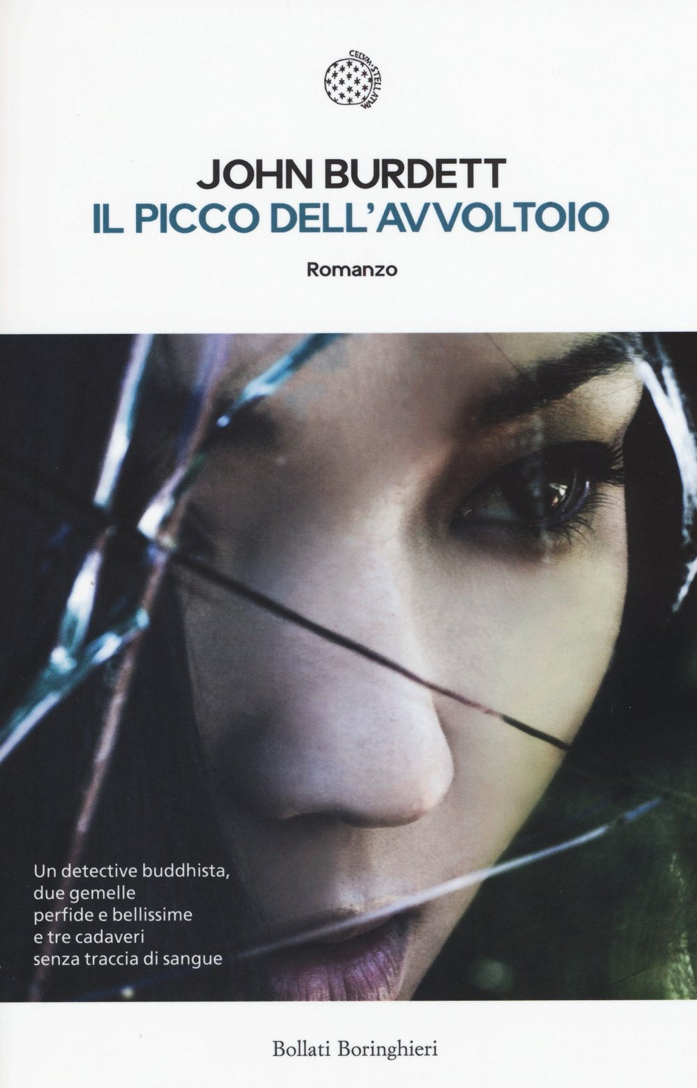 Il picco dell'avvoltoio (Le piccole varianti) Contemporary literature