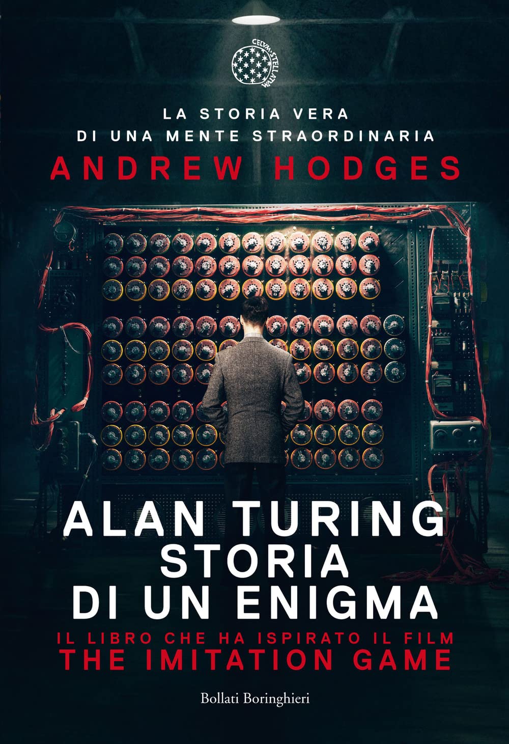 Alan Turing. Storia di un enigma (Fuori collana) Science