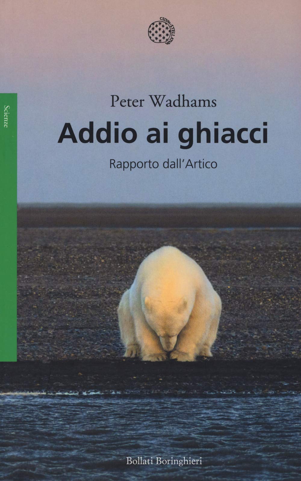 Addio ai ghiacci. Rapporto dall'Artico book
