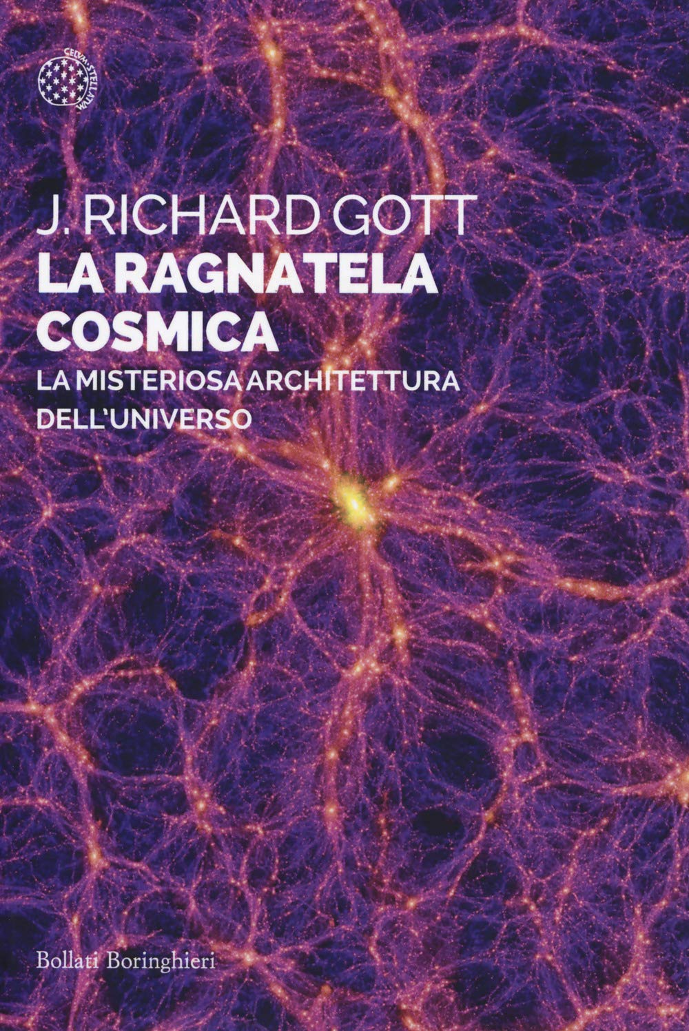La ragnatela cosmica. La misteriosa architettura dell'universo Natural Sciences