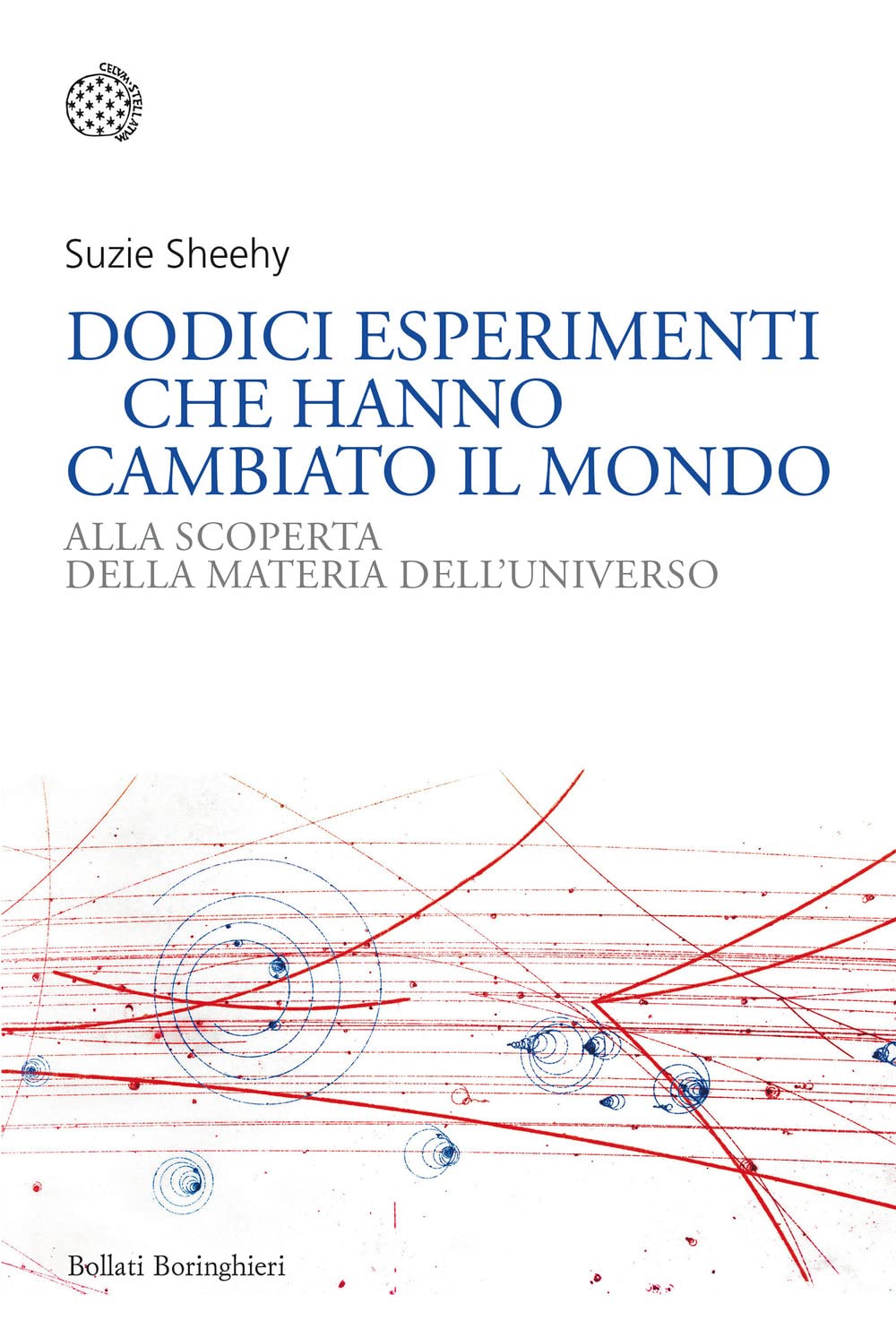 Dodici esperimenti che hanno cambiato il mondo. Alla scoperta della materia dell'universo (Nuovi saggi Bollati Boringhieri) Natural Sciences