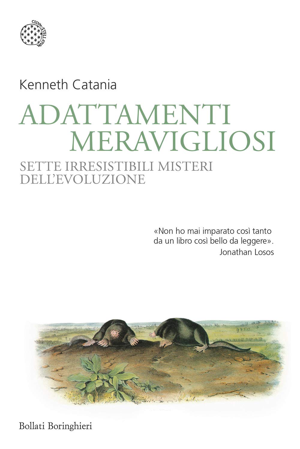 Adattamenti meravigliosi. Sette irresistibili misteri dell'evoluzione Business & Technology