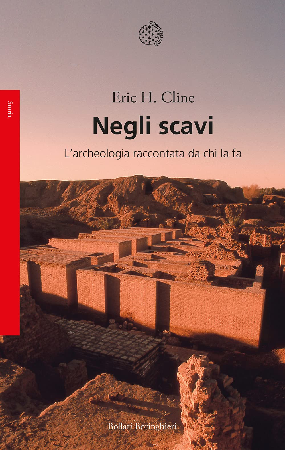 Negli scavi. L'archeologia raccontata da chi la fa Social Sciences