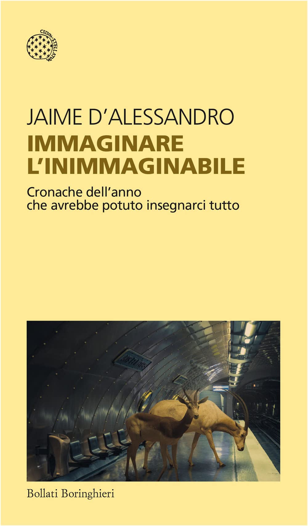 Immaginare l'inimmaginabile. Cronache dell'anno che avrebbe potuto insegnarci tutto Medicine