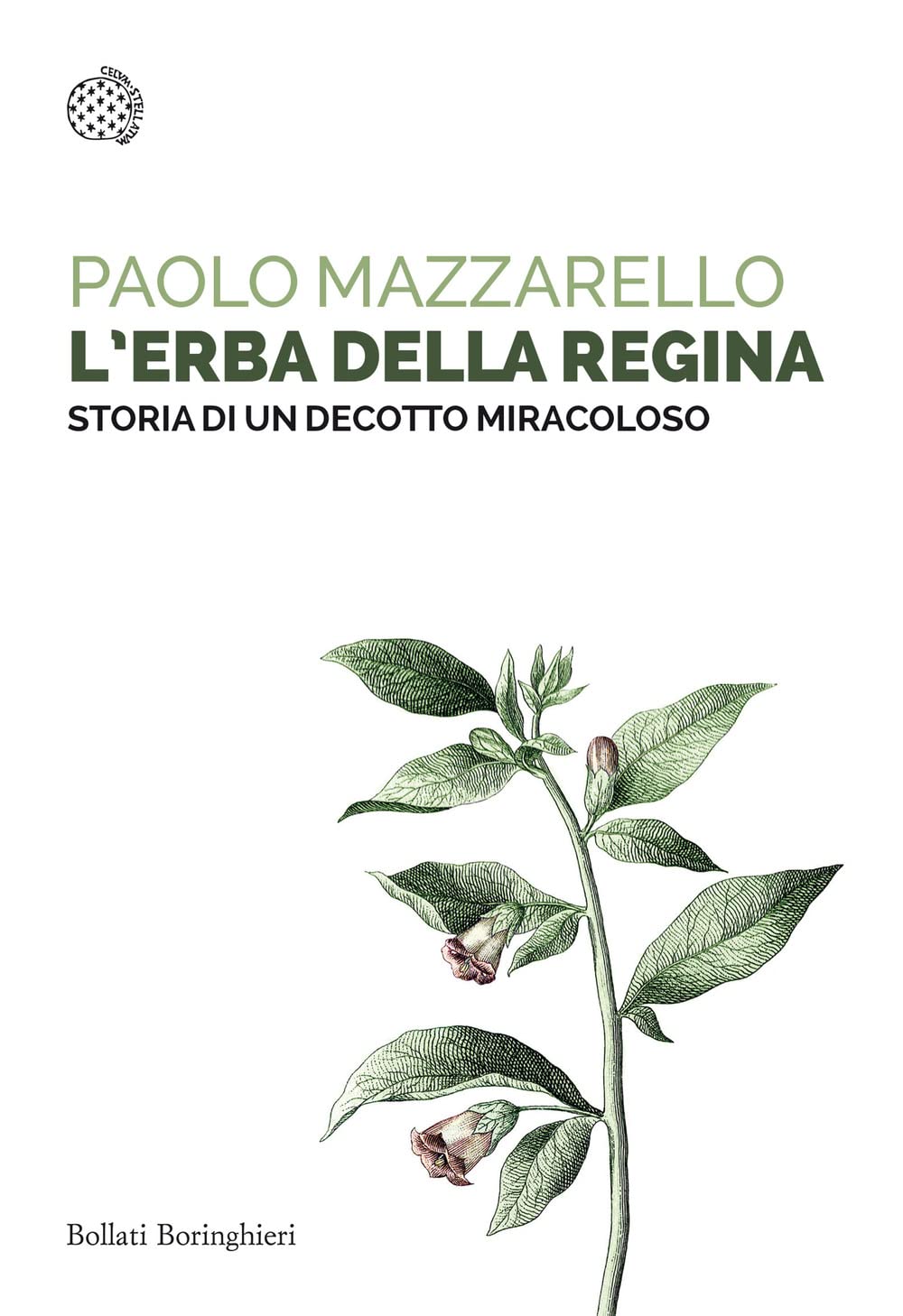 L'erba della regina. Storia di un decotto miracoloso book