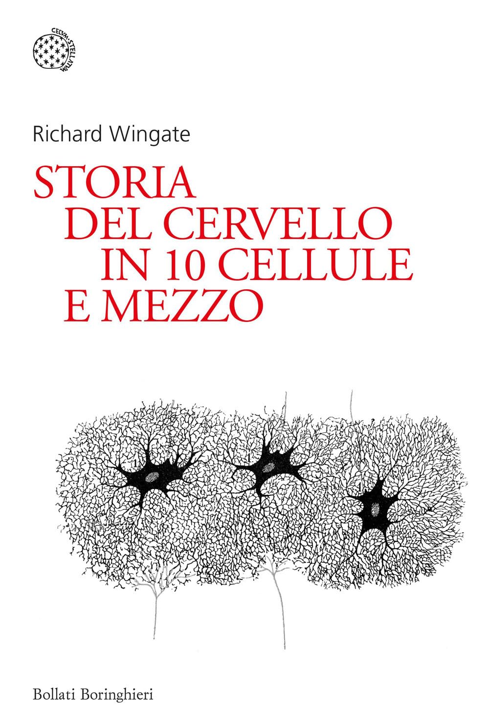 Storia del cervello in 10 cellule e mezzo (Nuovi saggi Bollati Boringhieri) Natural Sciences