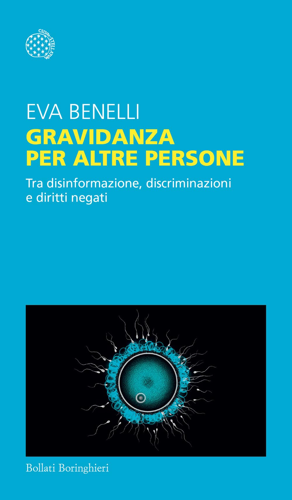 Gravidanza per altre persone. Tra disinformazione, discriminazioni e diritti negati book