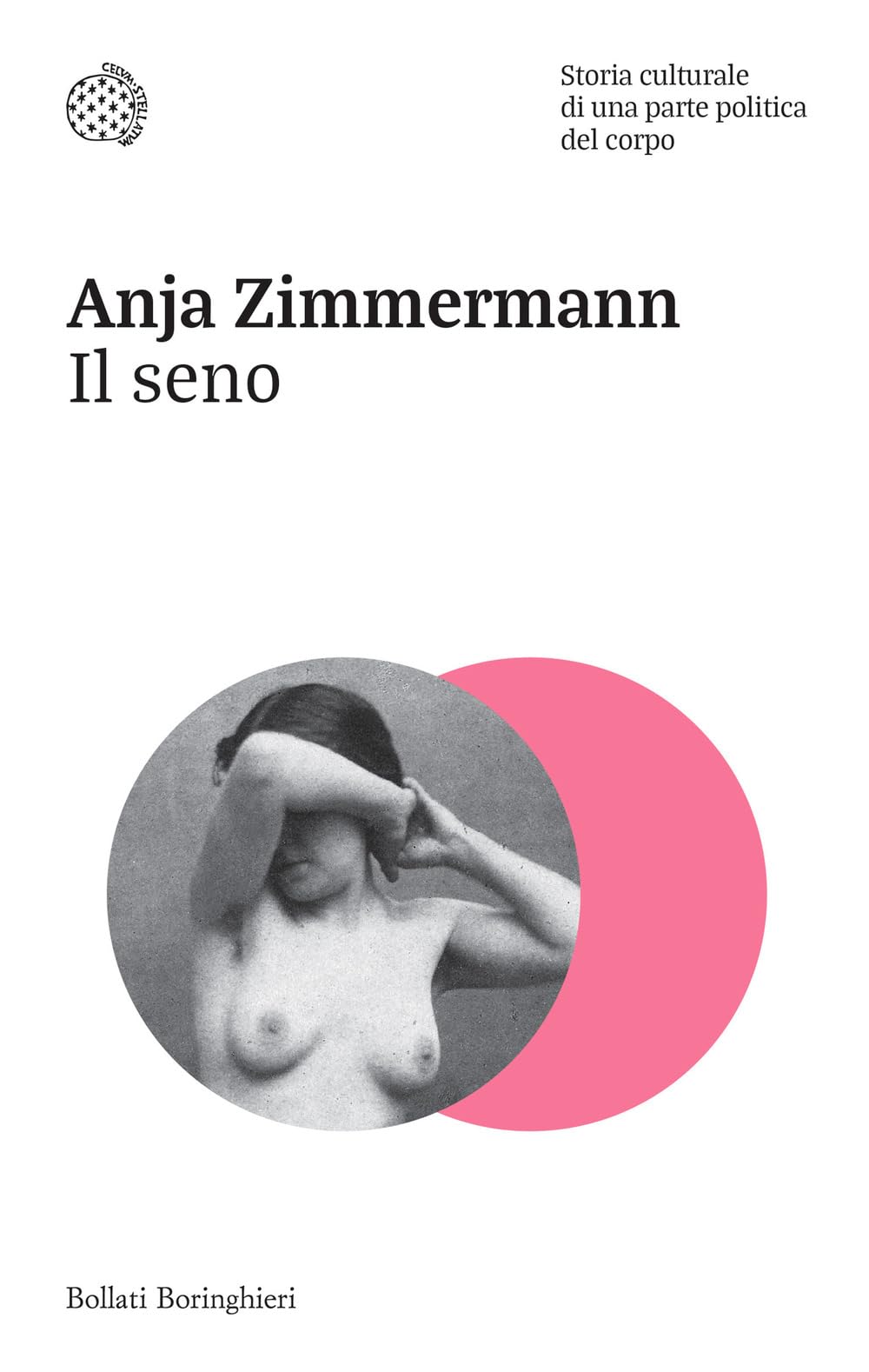 Il seno. Storia culturale di una parte politica del corpo (Nuovi saggi Bollati Boringhieri) Books