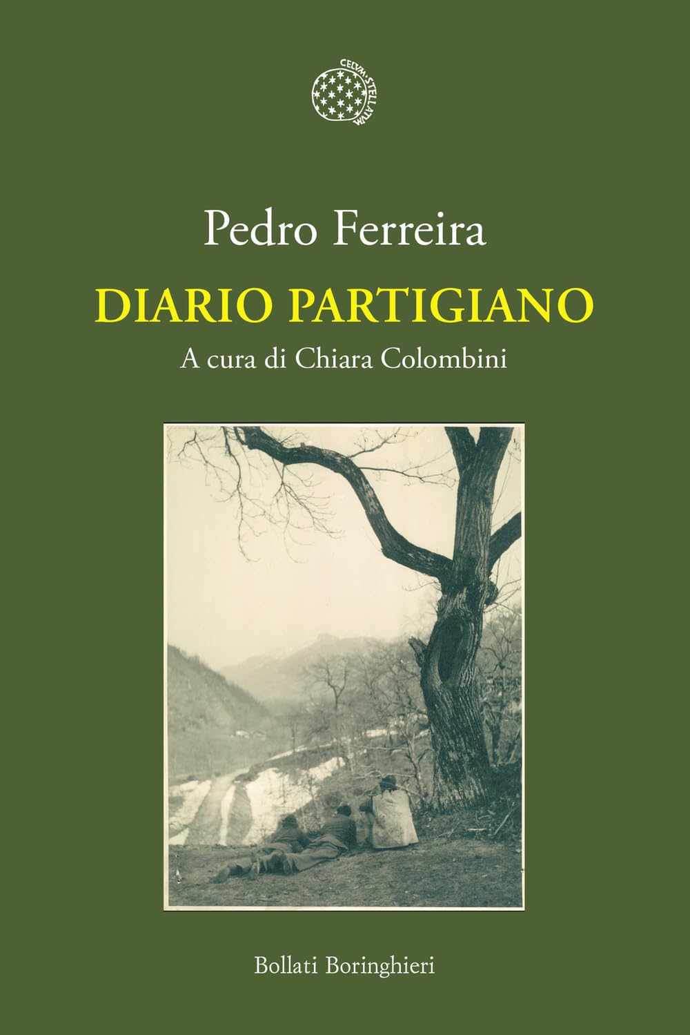 Diario partigiano book