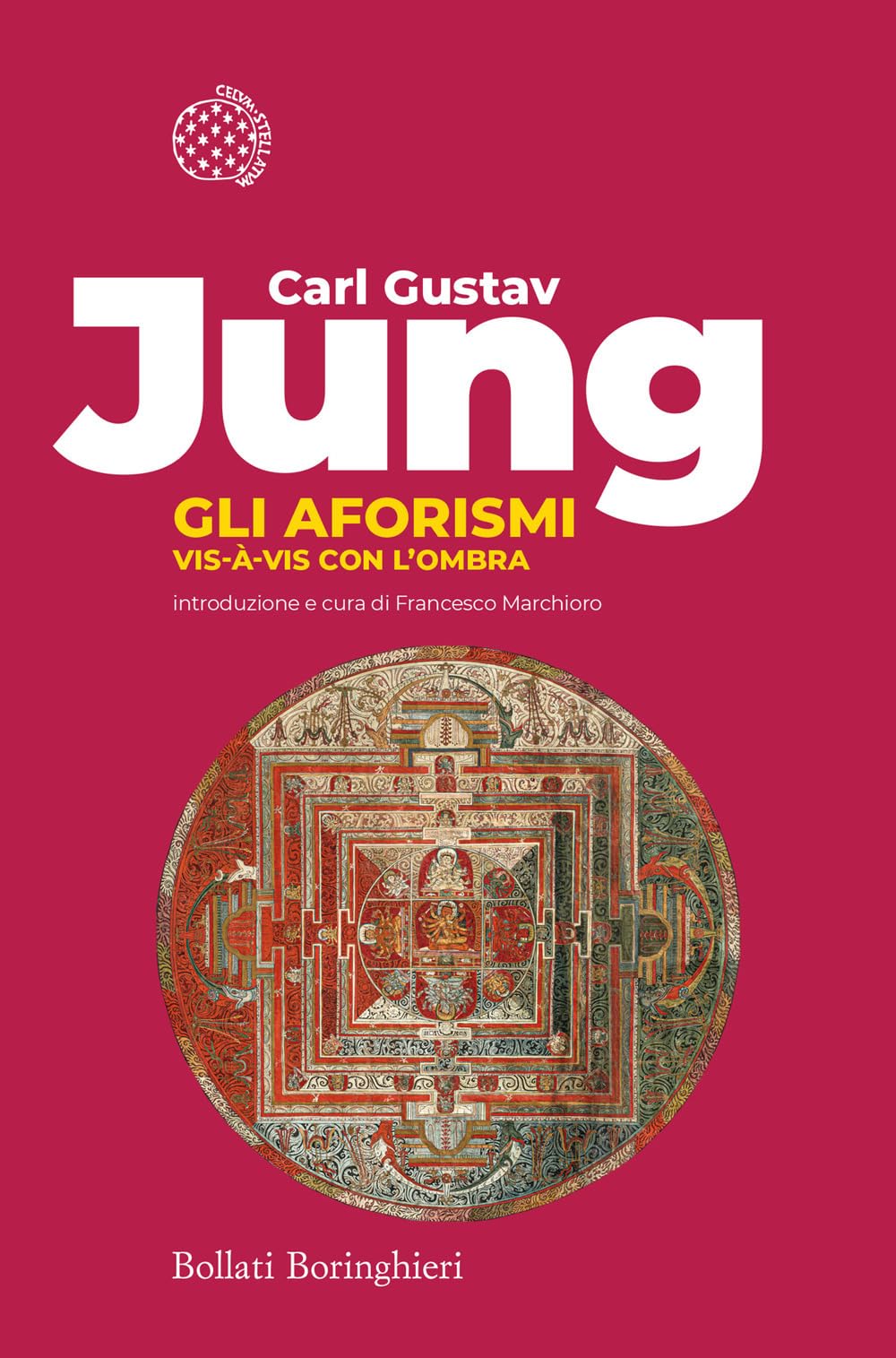 Gli aforismi. Vis-à-vis con l'ombra book