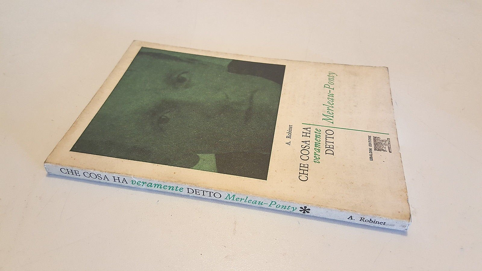 Che cosa ha veramente detto Merleau-Ponty book