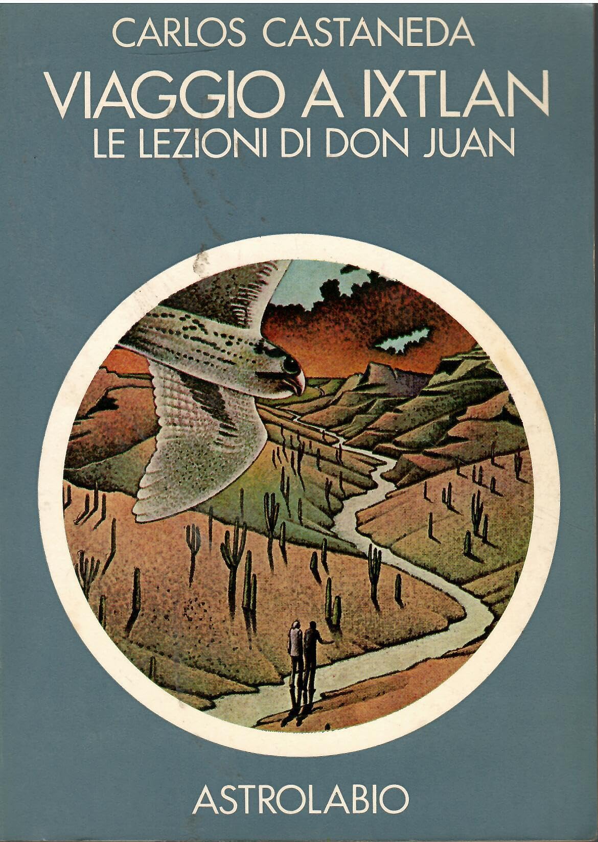 Viaggio a Ixtlan. Le lezioni di don Juan book