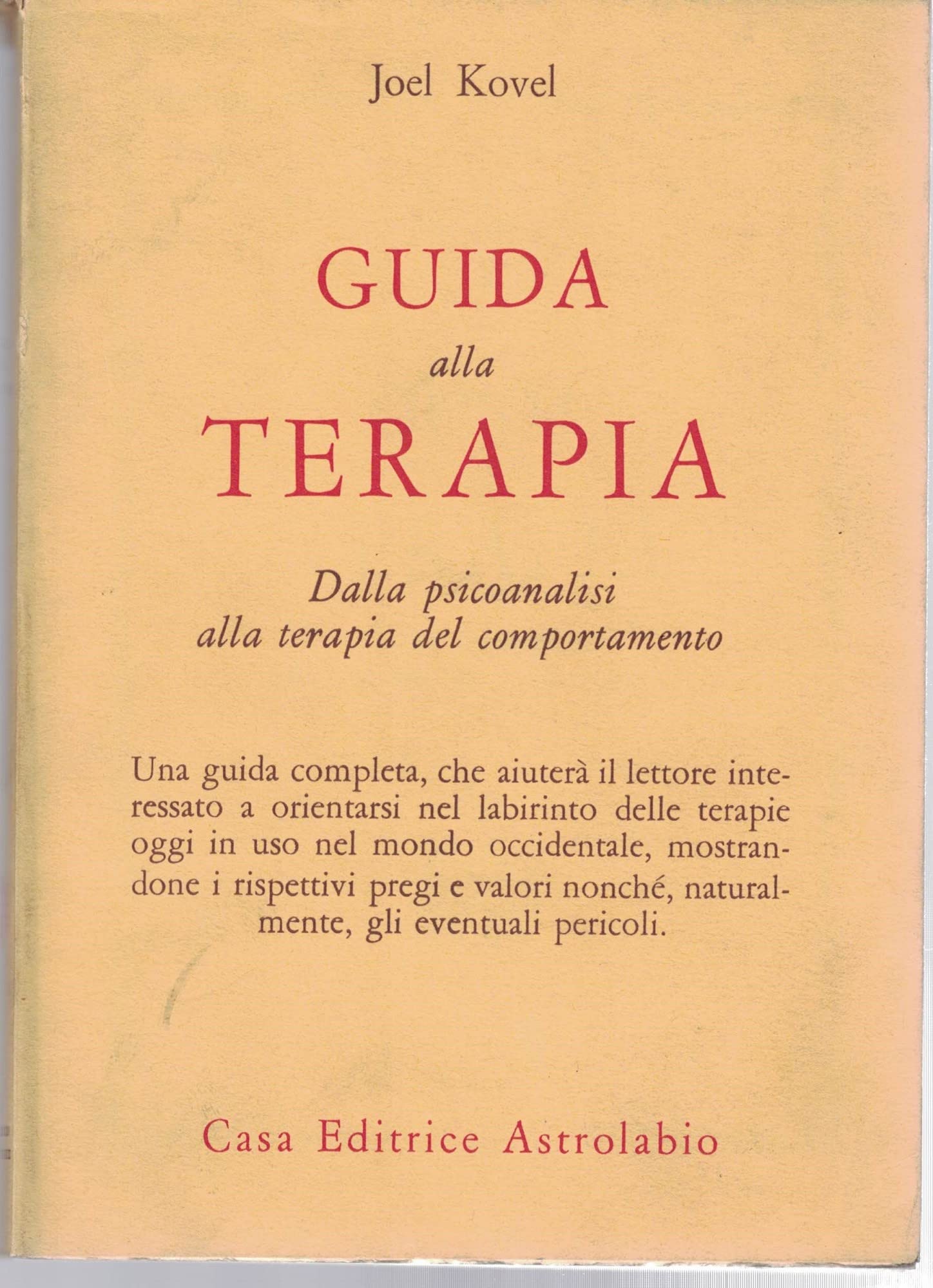Guida alla terapia. Dalla psicoanalisi alla terapia del comportamento book