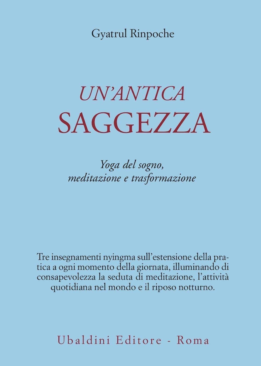 Un'antica saggezza. Yoga del sogno, meditazione e trasformazione book