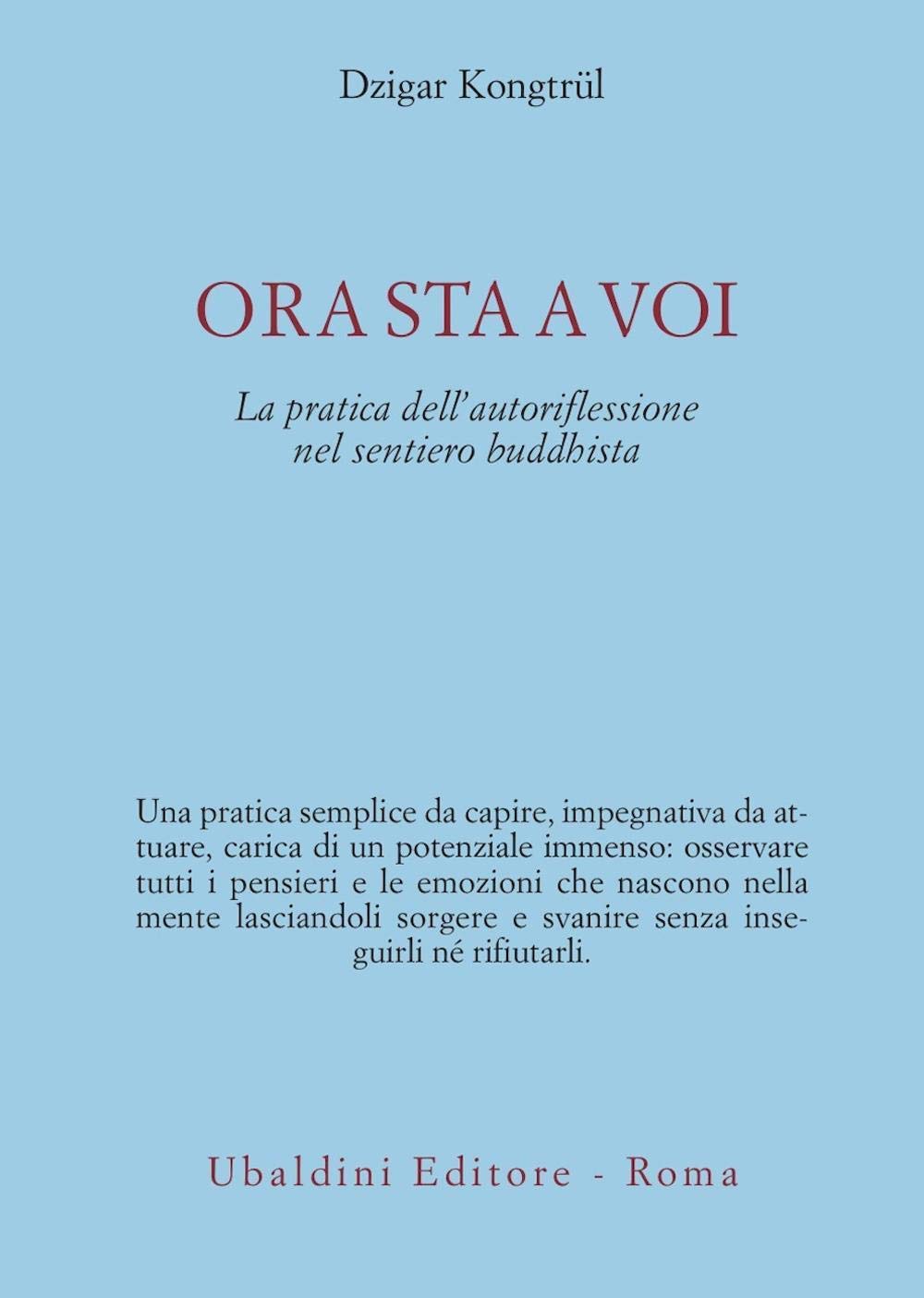 Ora sta a voi. La pratica dell'autoriflessione nel sentiero buddhista (Civiltà dell'Oriente) Religion & Esotericism