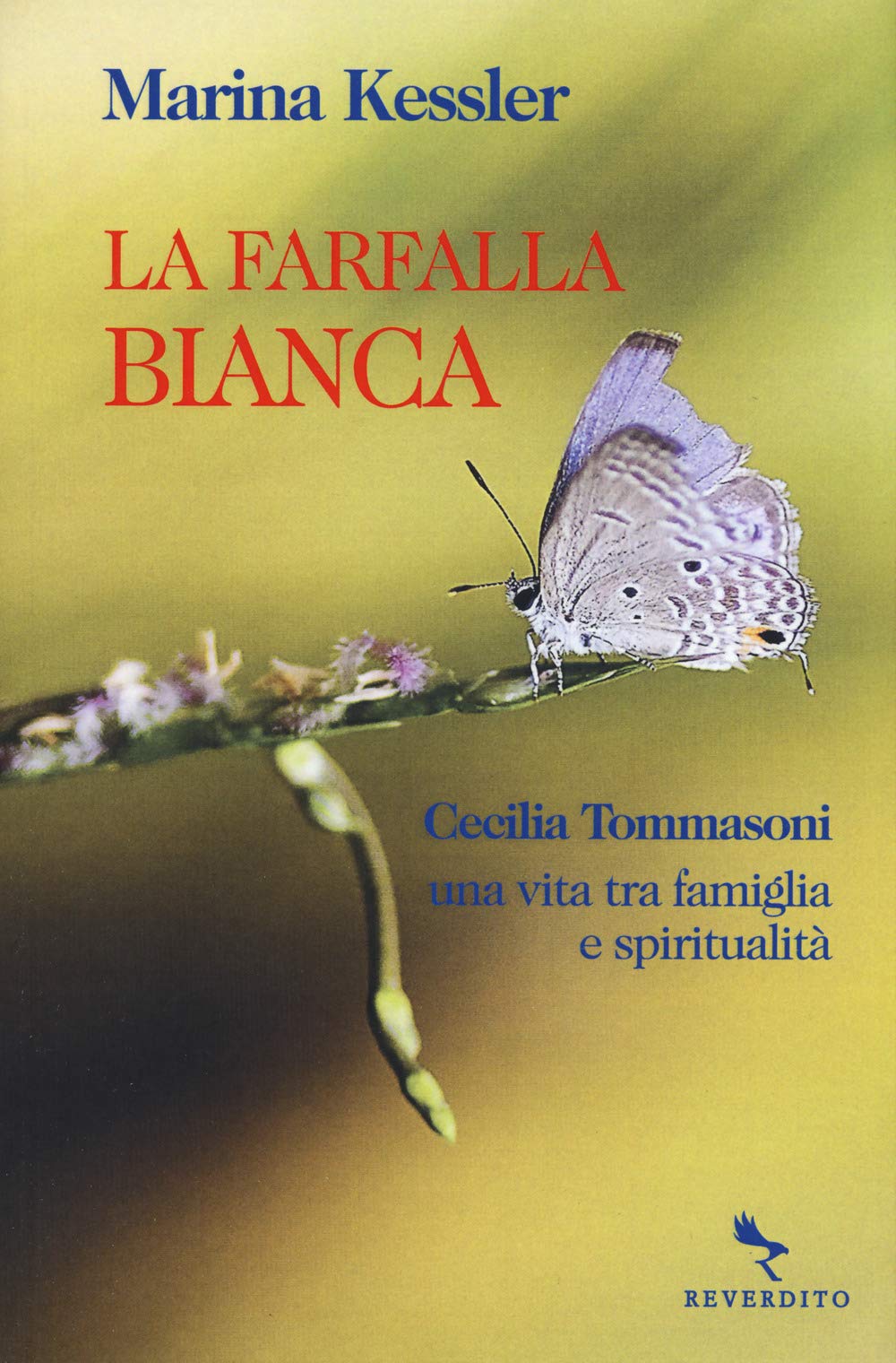 La farfalla bianca. Cecilia Tommasoni, una vita tra famiglia e spiritualità Memories