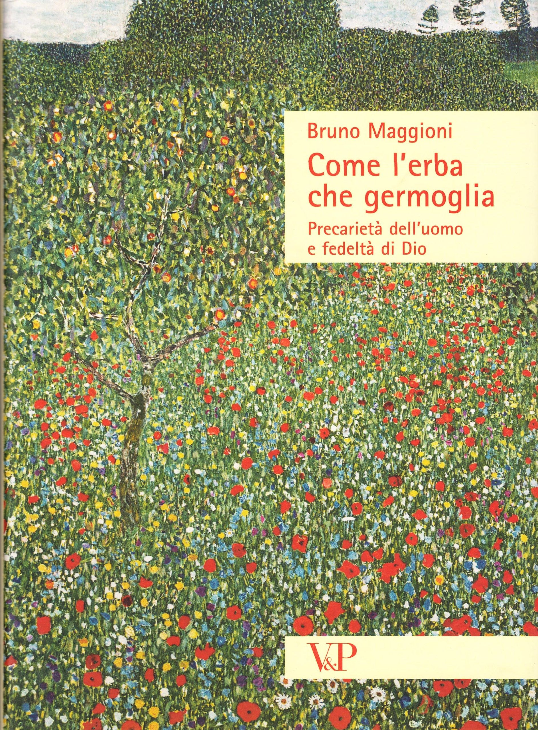 Come l'erba che germoglia. Precarietà dell'uomo e fedeltà a Dio (Sestante) Social Sciences