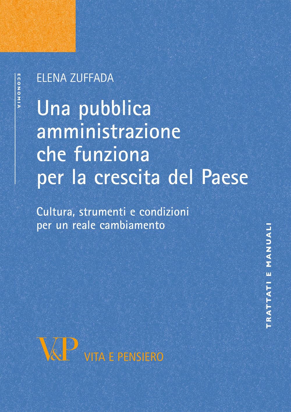 Una pubblica amministrazione che funziona per la crescita del Paese. Cultura, strumenti e condizioni per un reale cambiamento (Trattati e manuali. Economia) Business, Finance & Career