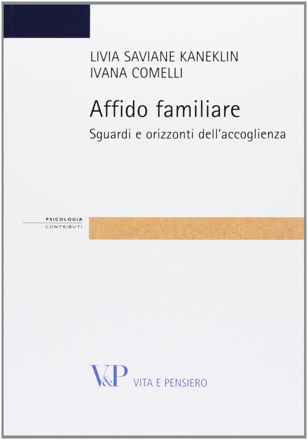 Affido familiare. Sguardi e orizzonti dell'accoglienza book