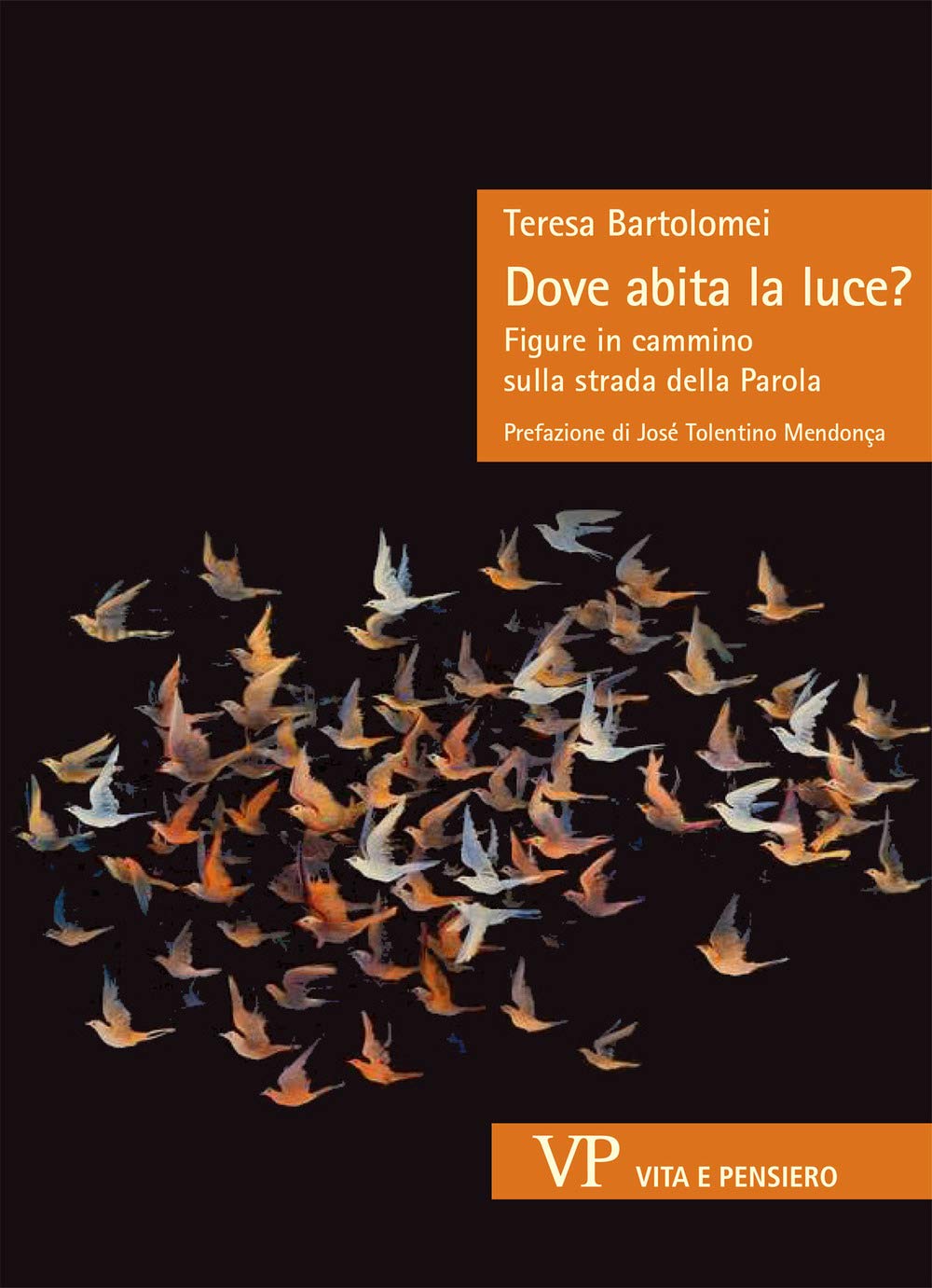 Dove abita la luce? Figure in cammino sulla strada della Parola book