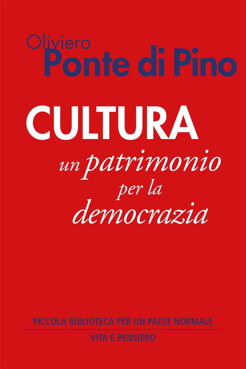 Cultura. Un patrimonio per la democrazia Books