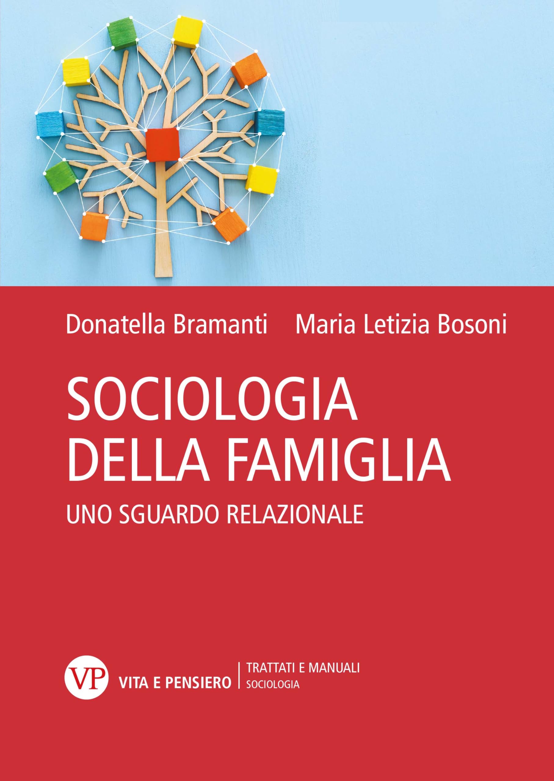 Sociologia della famiglia. Uno sguardo relazionale book