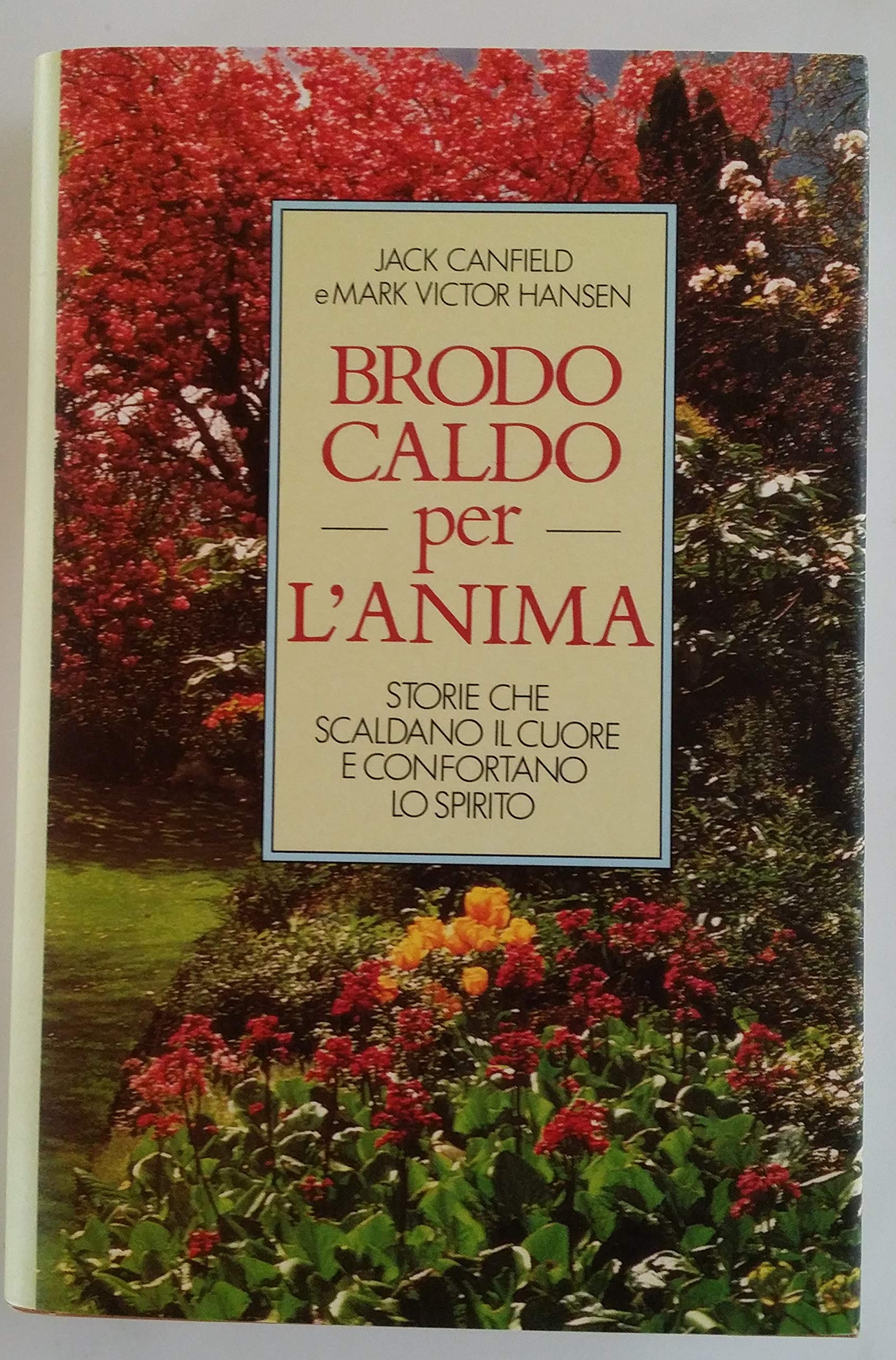 Brodo caldo per l'anima. Storie che scaldano il cuore e confortano lo spirito (Vol. 1) Religion & Esotericism