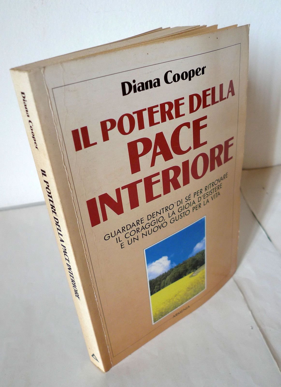 Il potere della pace interiore. Guardare dentro di sé per ritrovare il coraggio, la gioia d'esistere e un nuovo gusto per la vita book