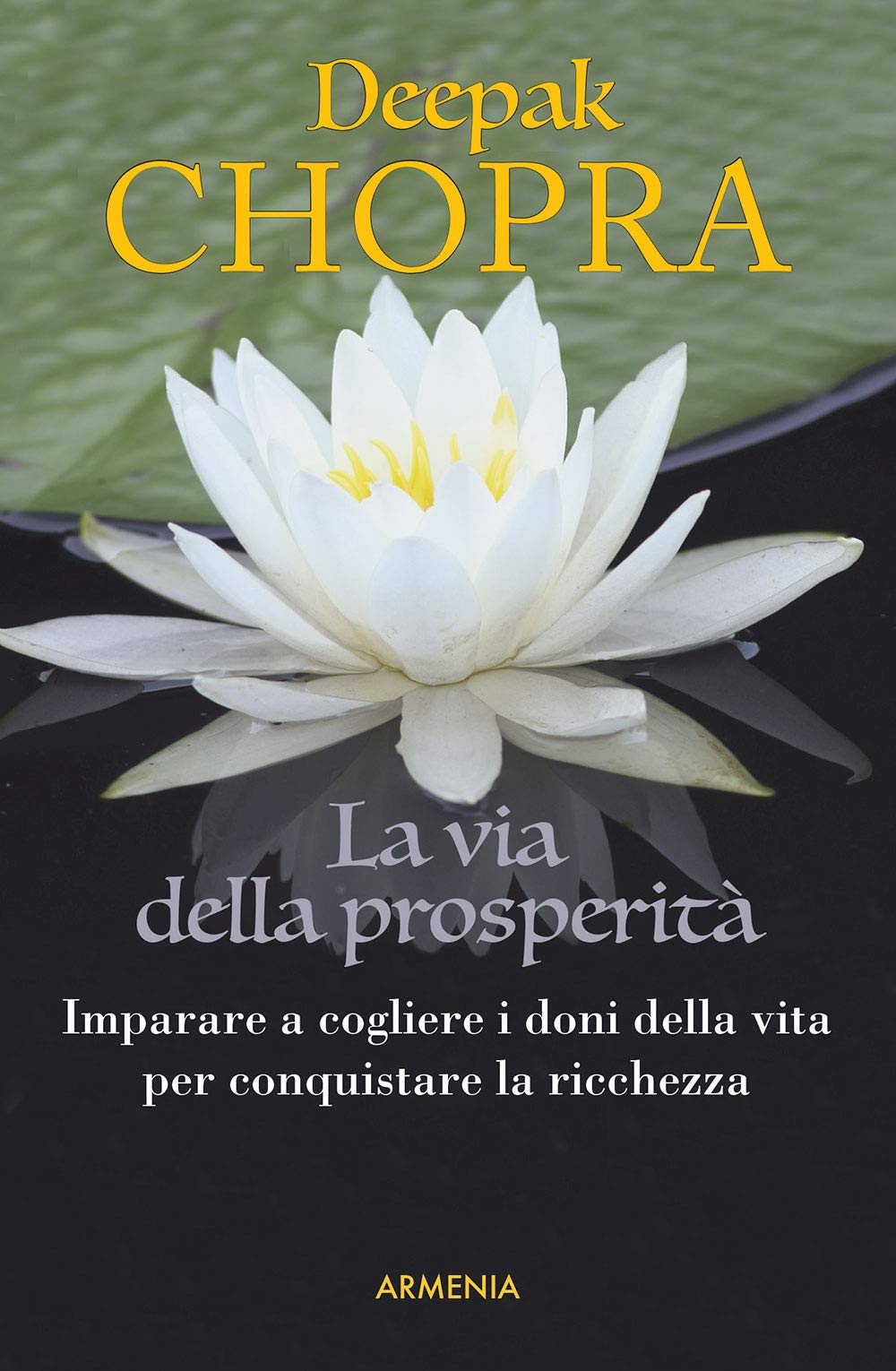 La via della prosperità. Come imparare a cogliere i doni della vita e conquistare la ricchezza book