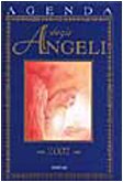 Agenda degli angeli. 2002 book
