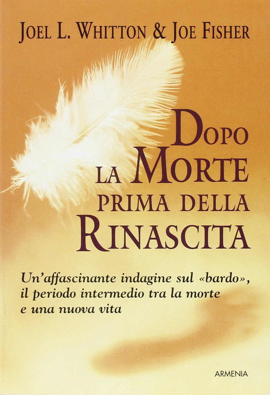 Dopo la morte prima della rinascita book