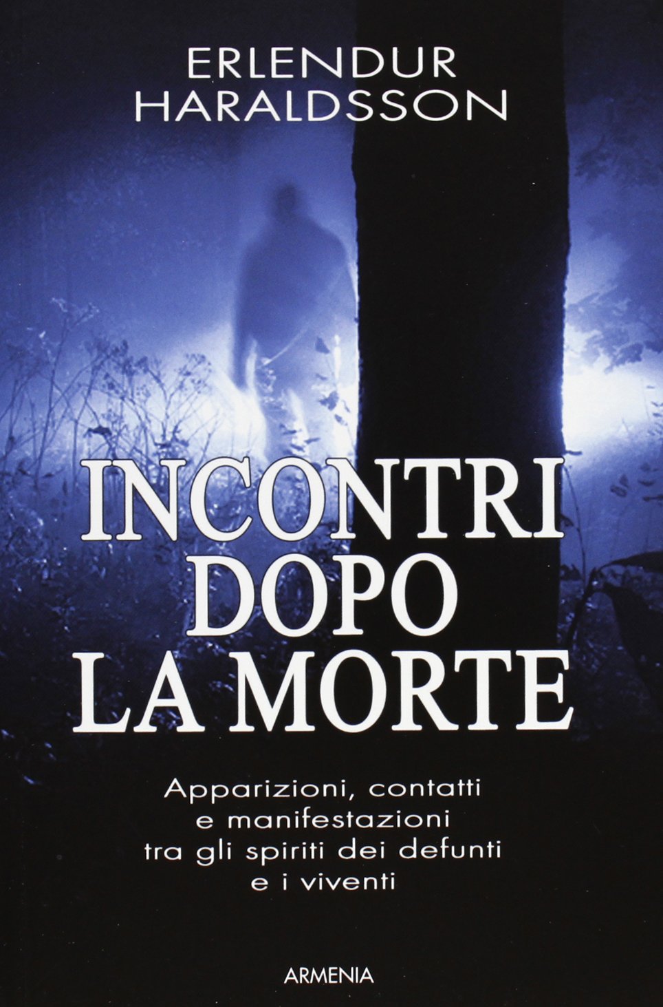 Incontri dopo la morte. Apparizioni, contatti e manifestazioni tra gli spiriti dei defunti e i viventi book