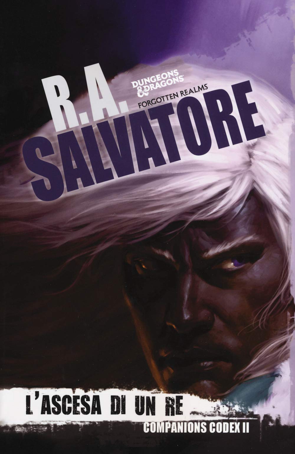 L'ascesa di un re. Companion codex. La leggenda di Drizzt 29 (Vol. 2) book
