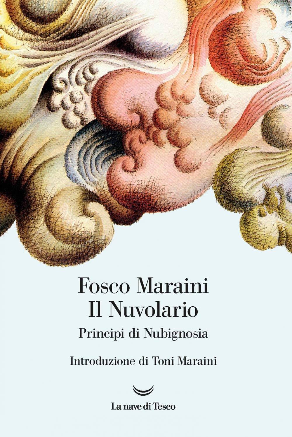 Il nuvolario. Principi di nubignosia. Ediz. a colori book