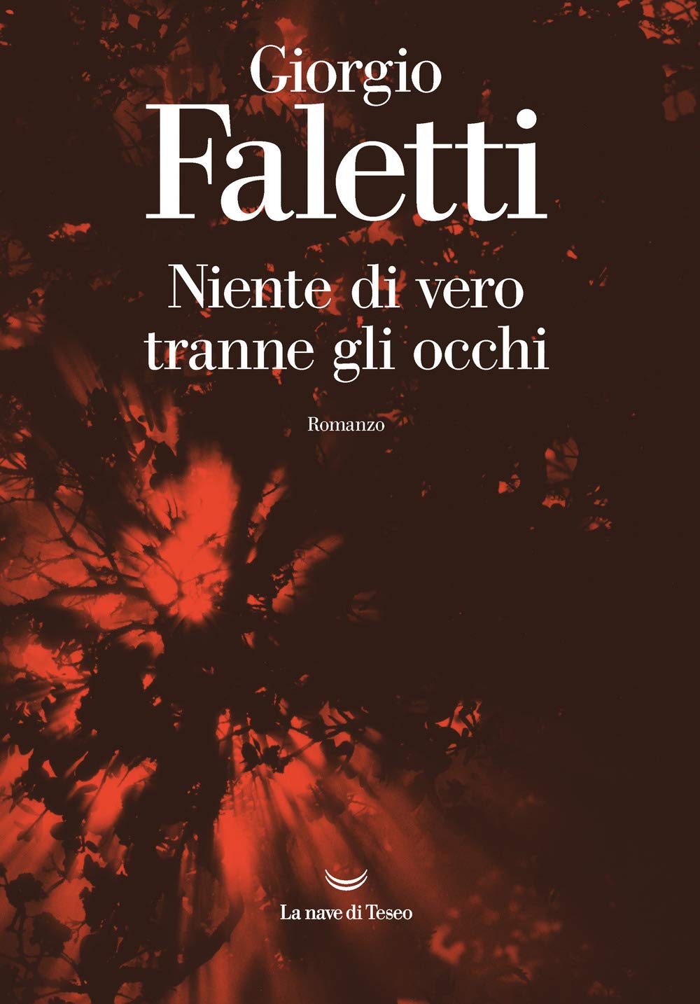 Niente di vero tranne gli occhi book