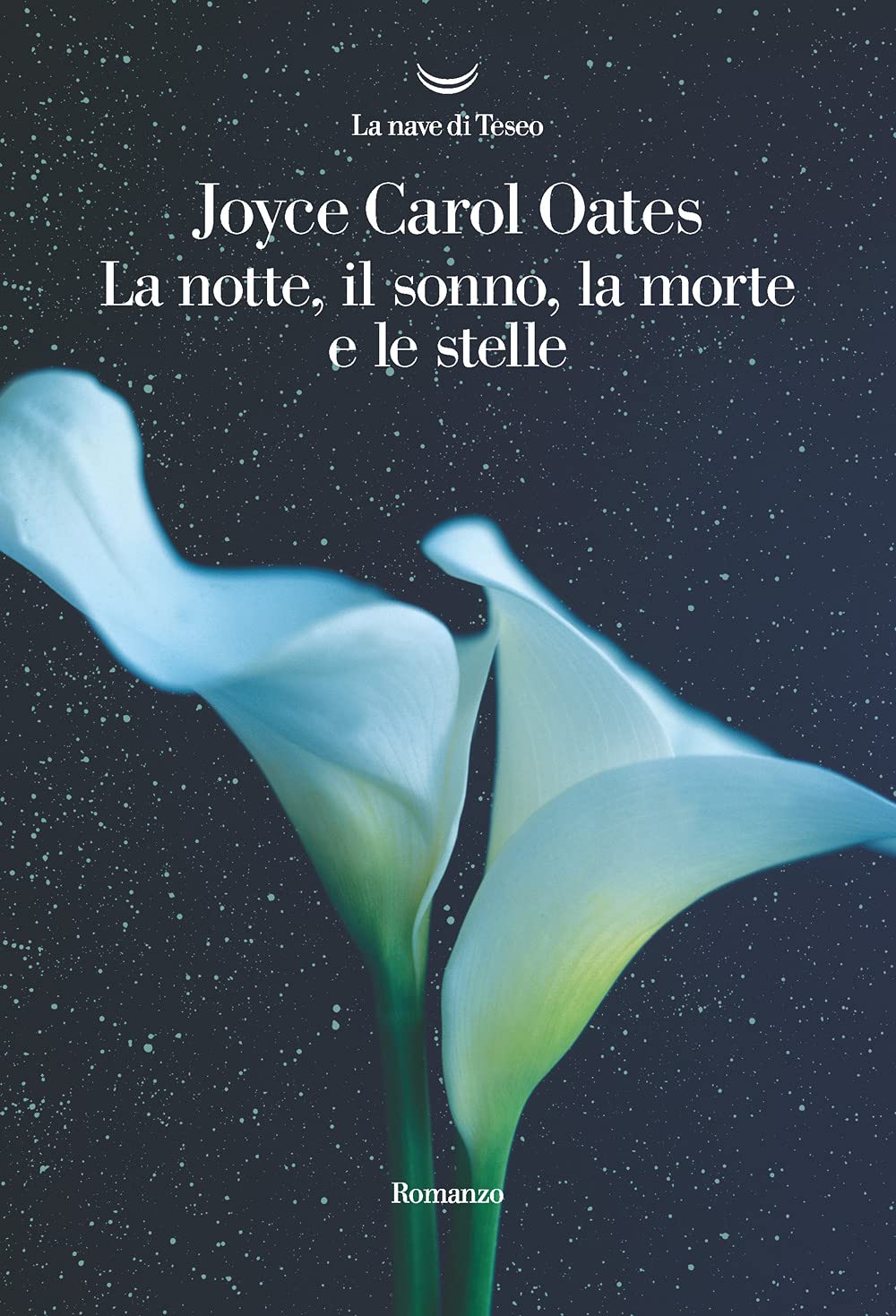 La notte, il sonno, la morte e le stelle (Oceani) Contemporary literature