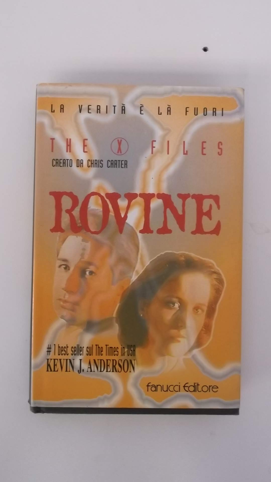 Rovine (Economica tascabile) Contemporary literature