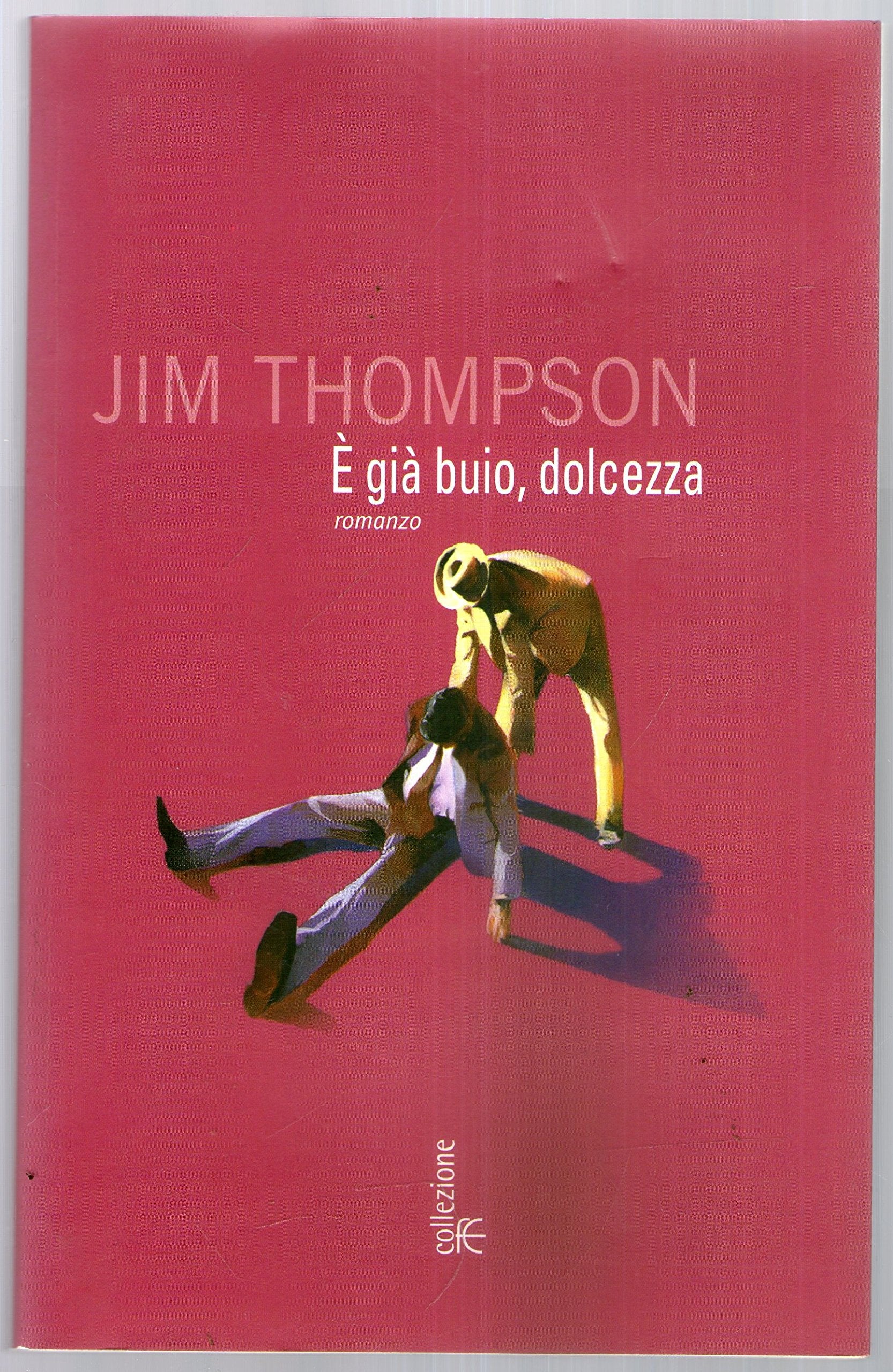 È gia buio, dolcezza (Collezione Jim Thompson) Contemporary literature