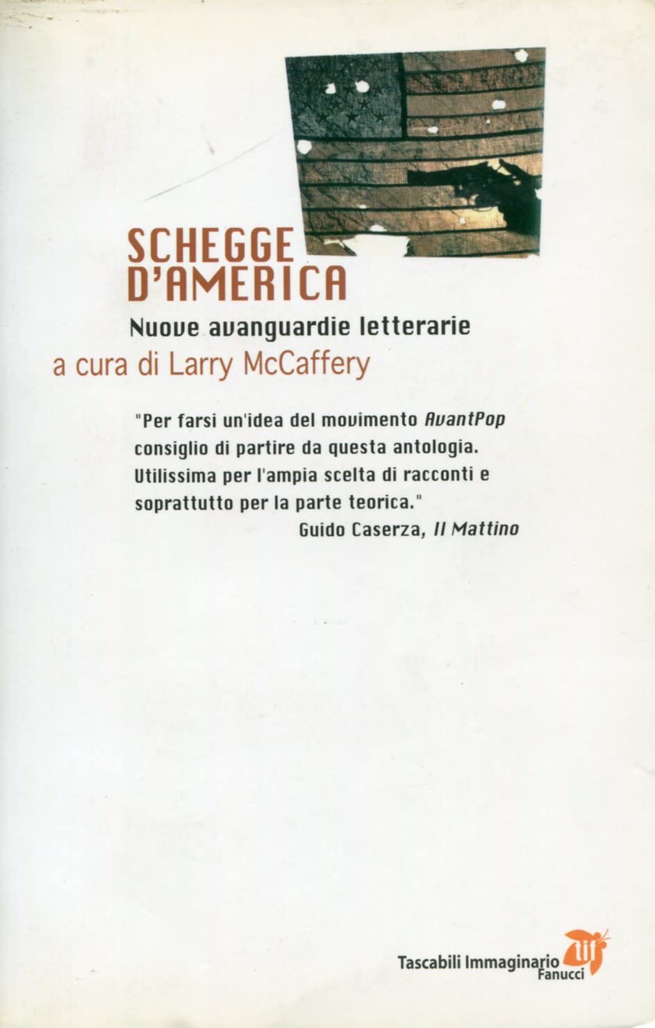 Schegge d'America (Tascabili immaginario) Contemporary literature