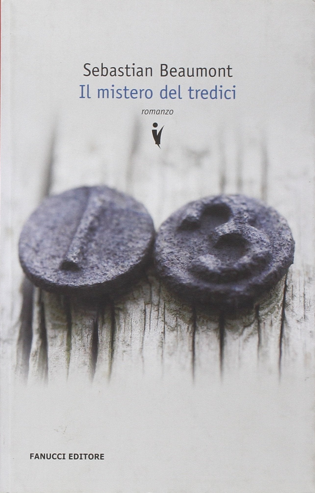 Il mistero del tredici book