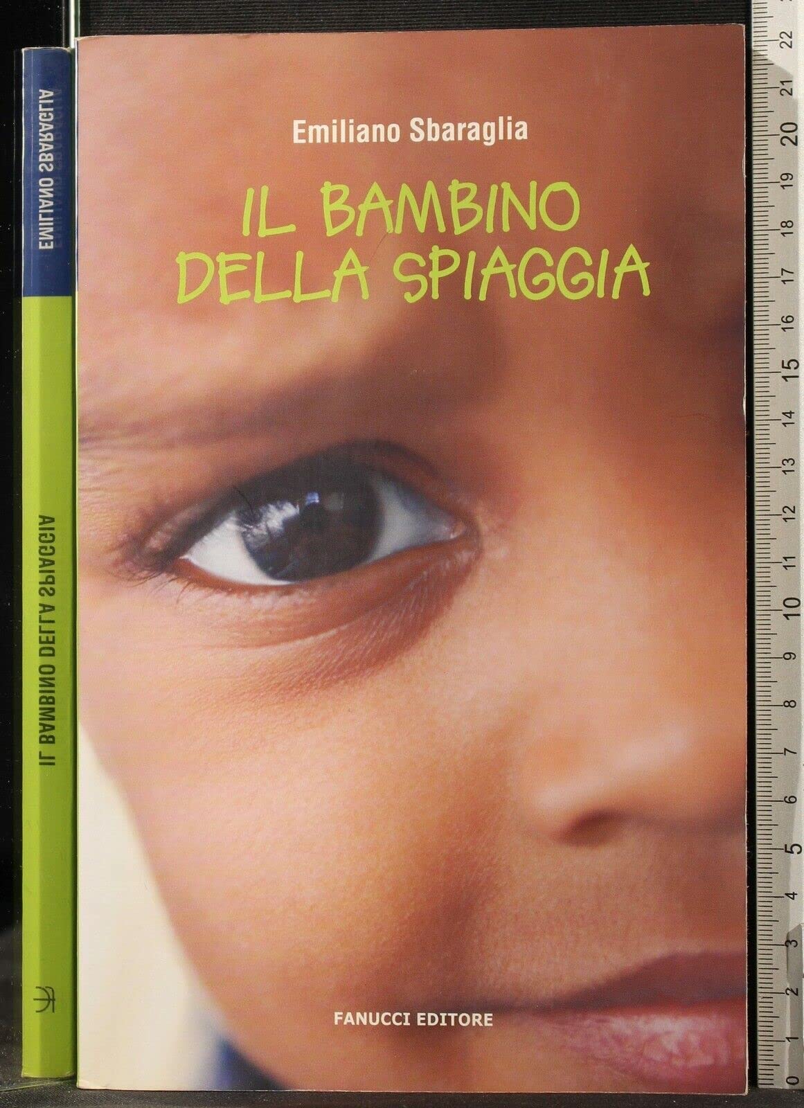 Il bambino della spiaggia Contemporary literature Books