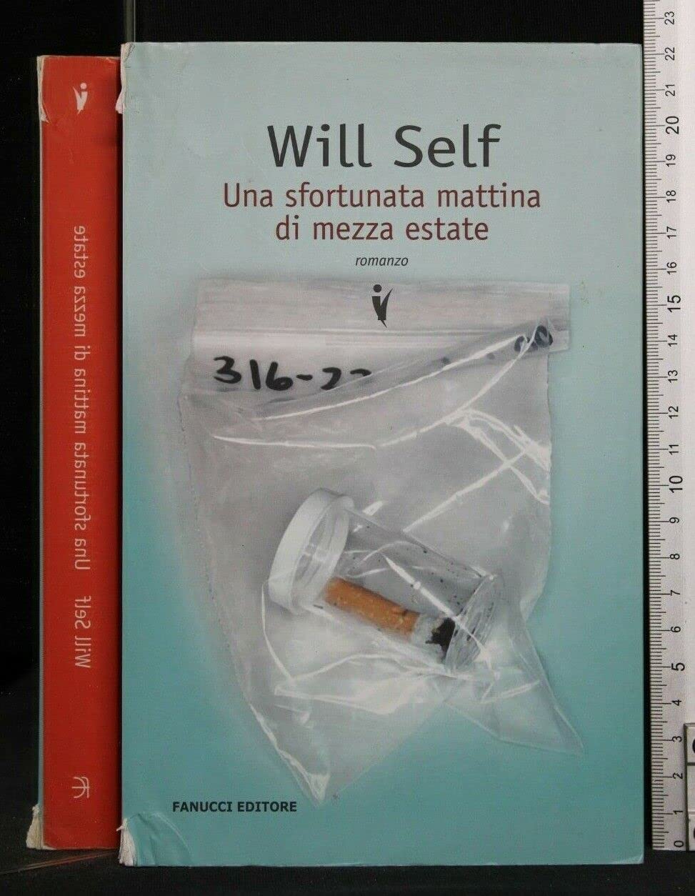 Una sfortunata mattina di mezza estate book